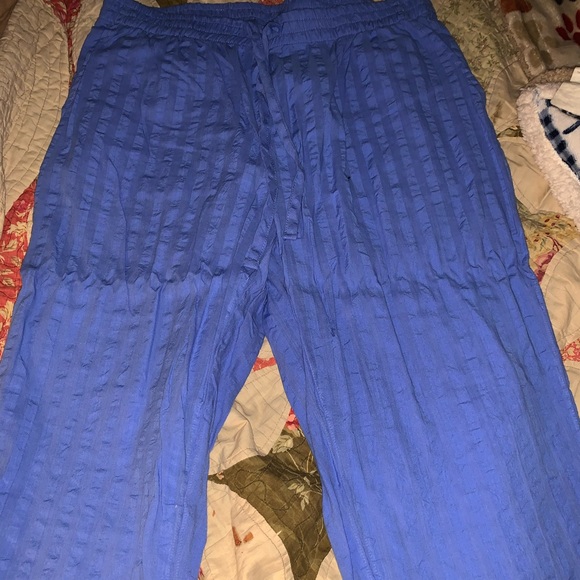 Woman Within Pants - Seersucker Blue Capris